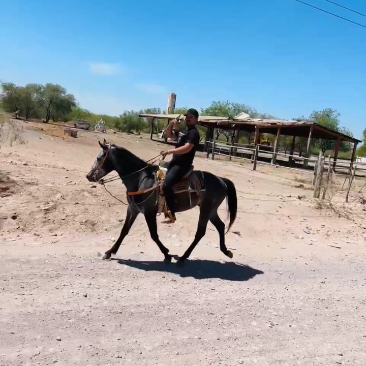 Bazán 🦖 🍀