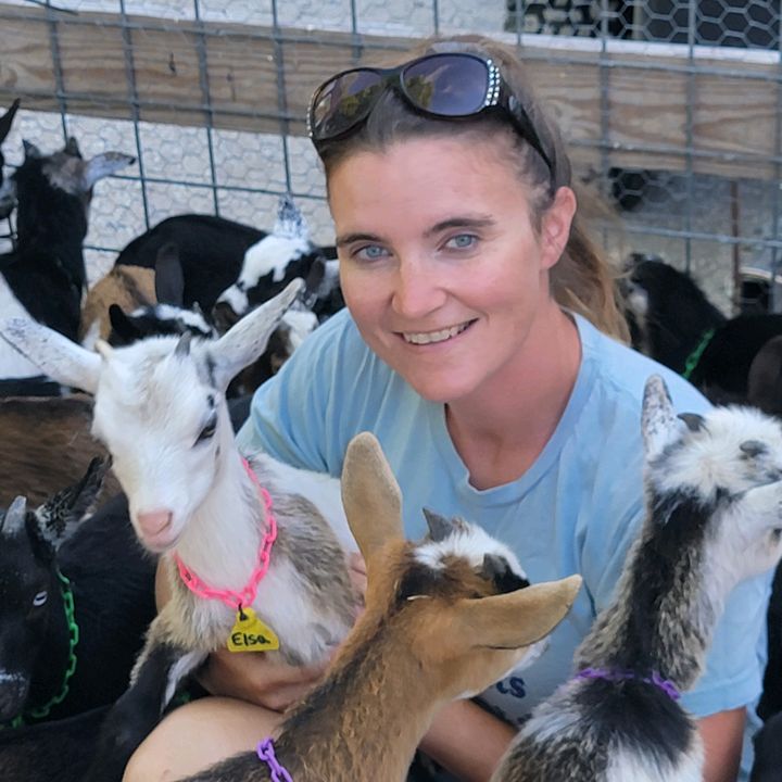 Erin's Farm Babies