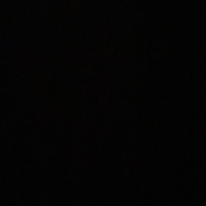 pirl