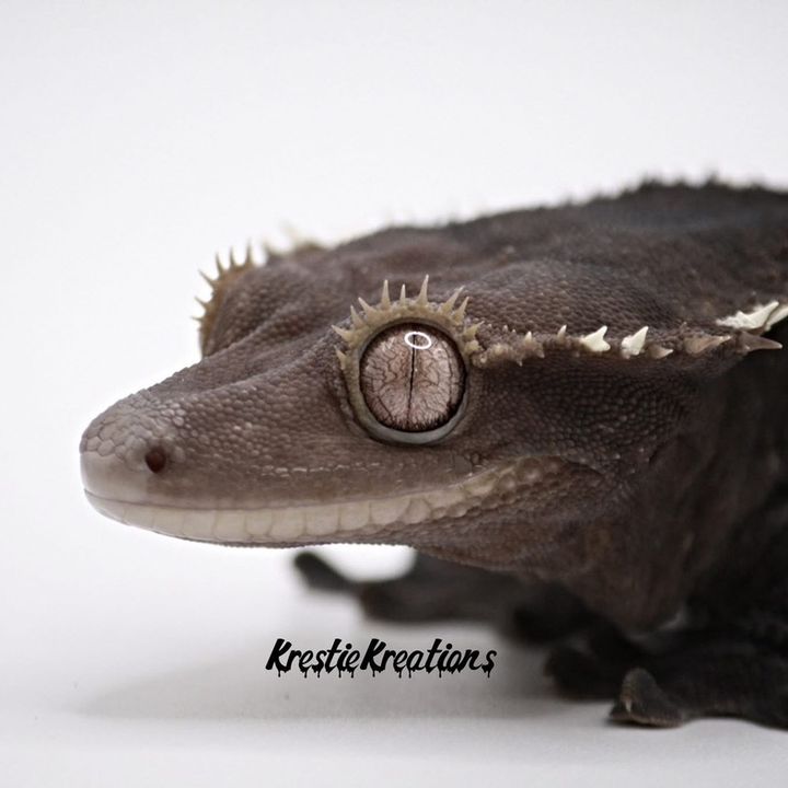 krestiekreations