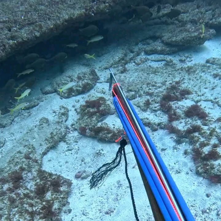 Spear fishing