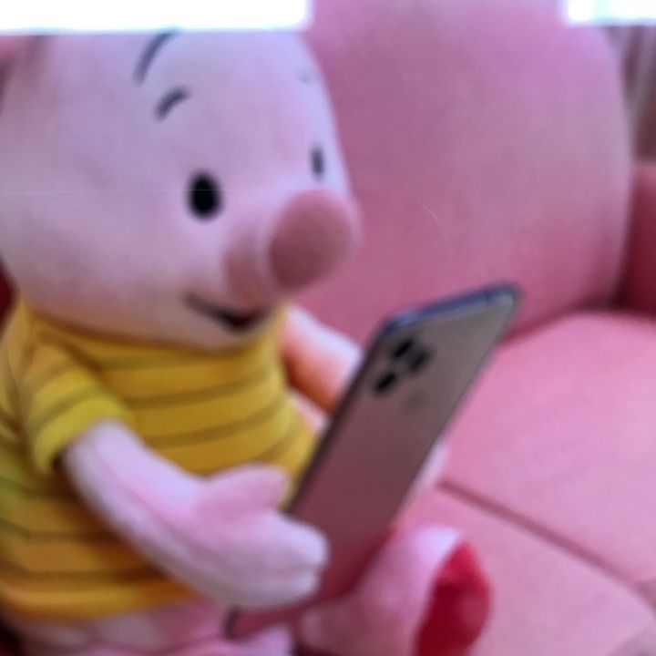 chchgp