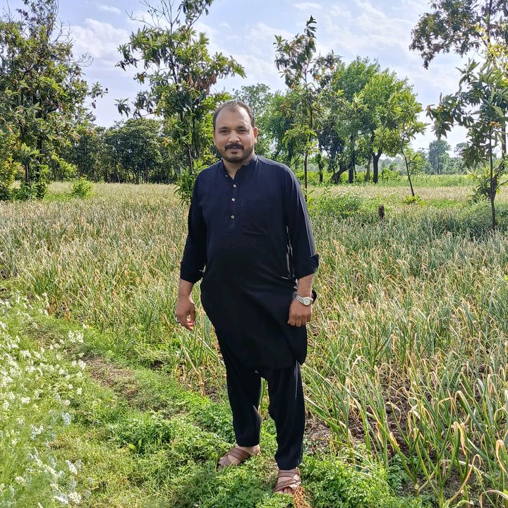TAHIR