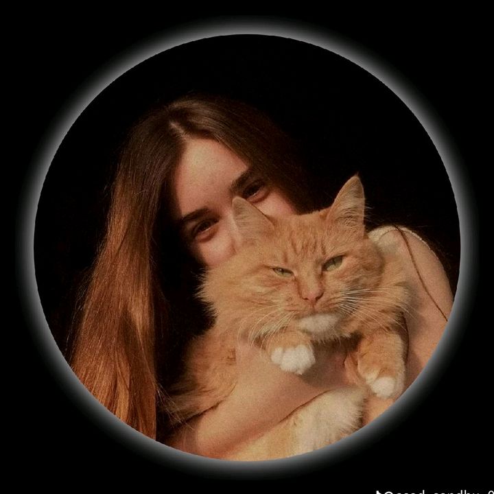 petworld