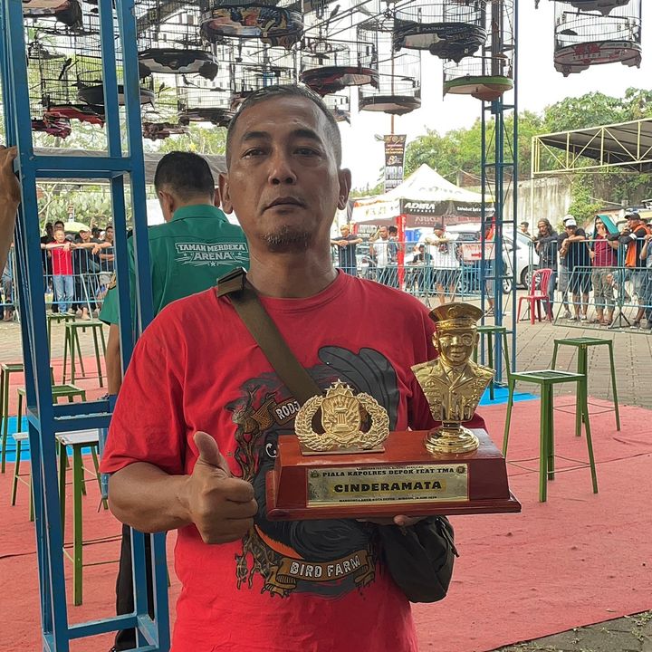 SINO Kenari