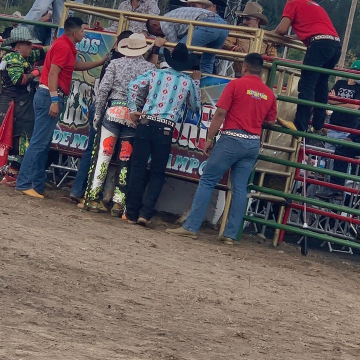 Jaripeos Usa‼️