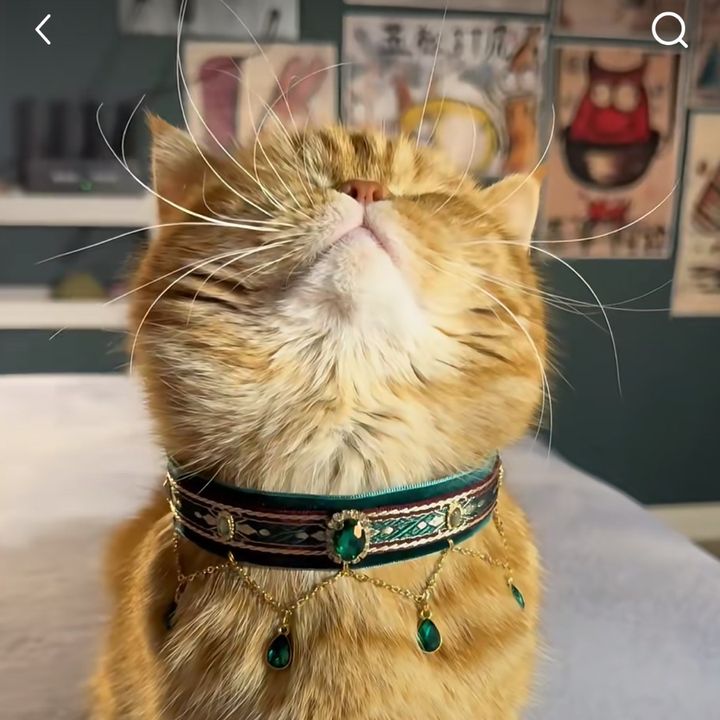 Ziggy