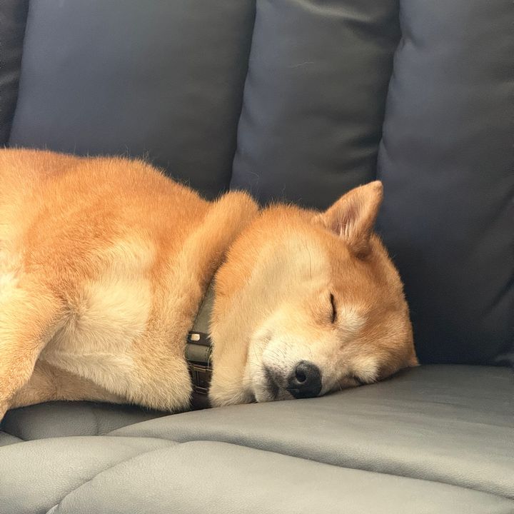 xo.rosie.