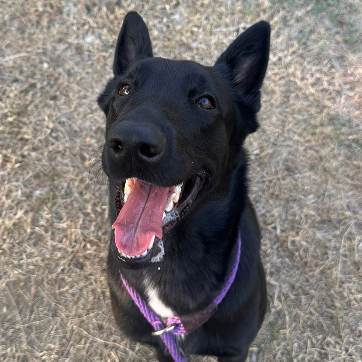 🖤Juno🖤