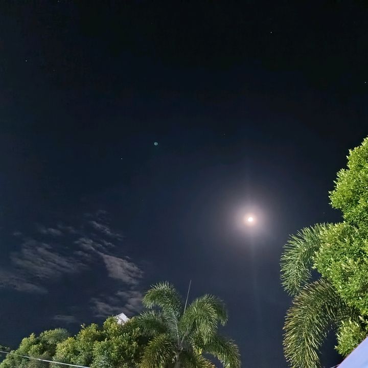 Malditang Probinsyana