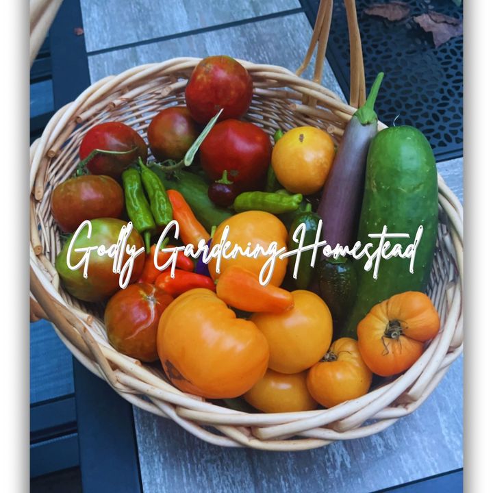 Godly Gardening Homestead