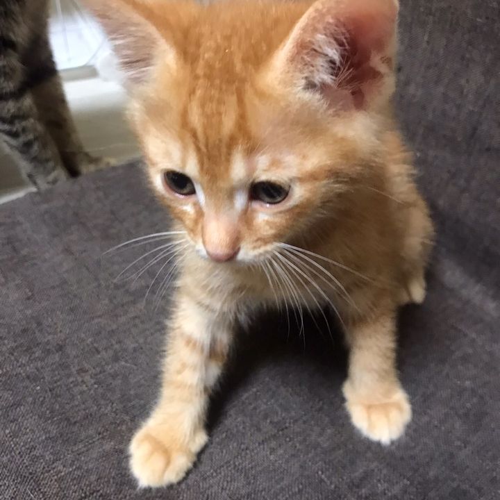 🌾たろう😺