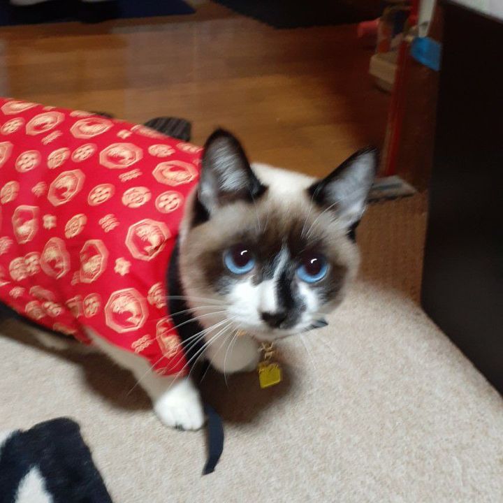 くにちゃん