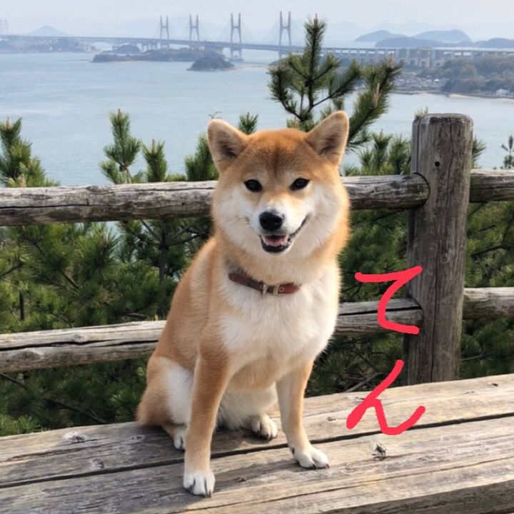 WAE