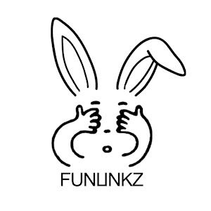 Funlinkz_趣链