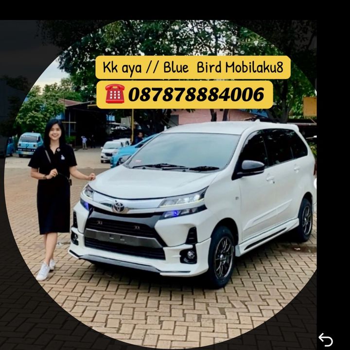 Blue Bird Mobilaku8