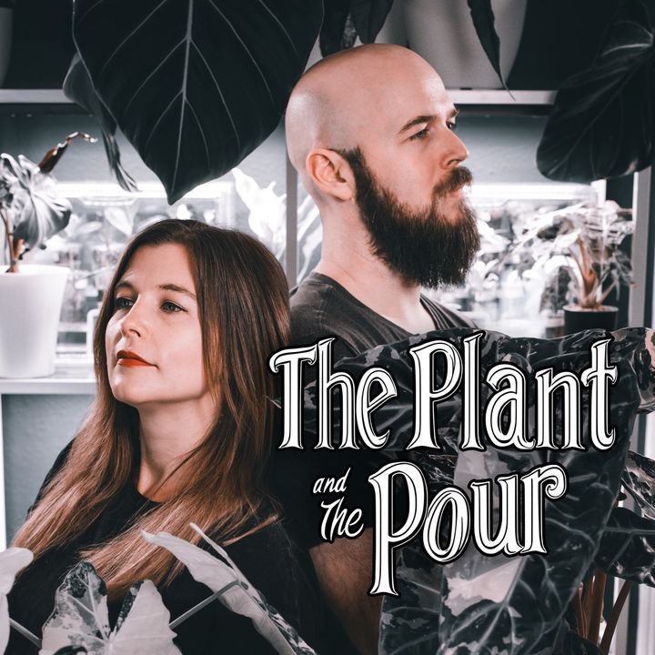 The Plant and The Pour