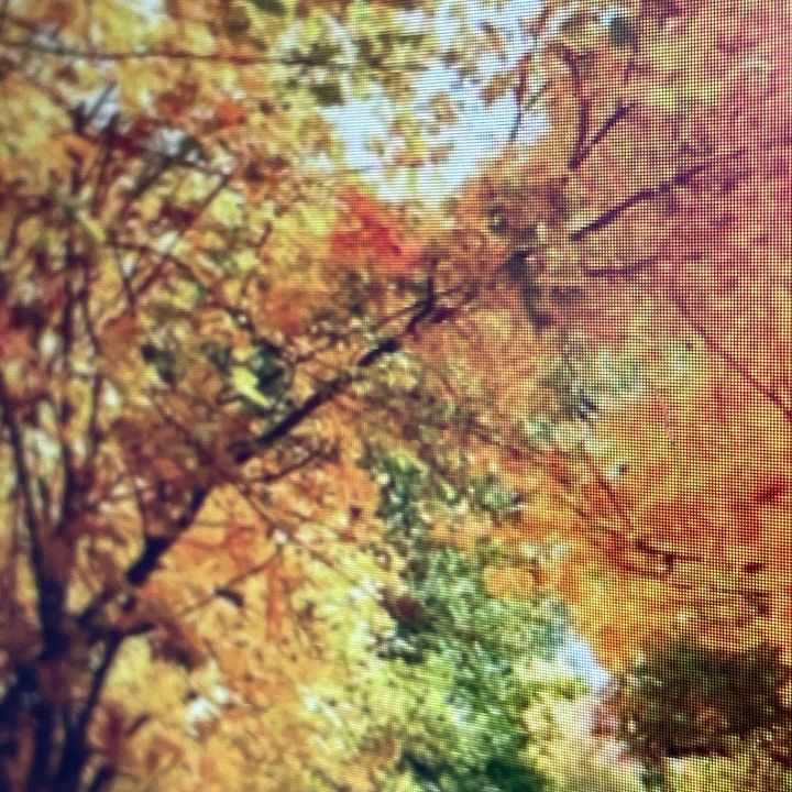 crttl_peyi03686