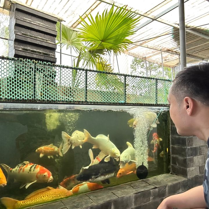 Quốc Thích Nuôi Cá