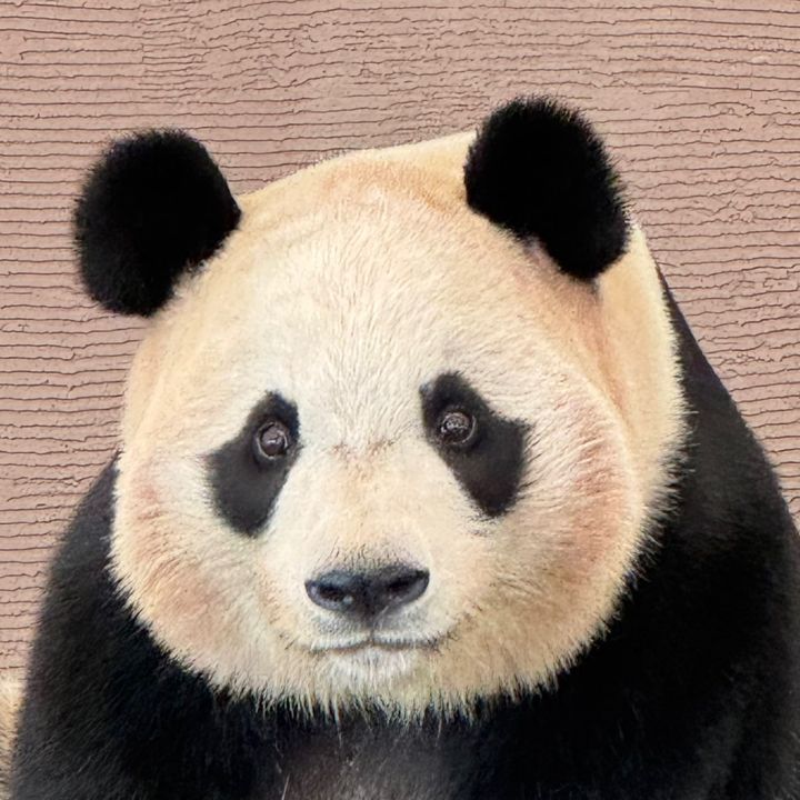 ミュア