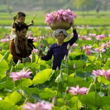 Minh Phương Miền Tây