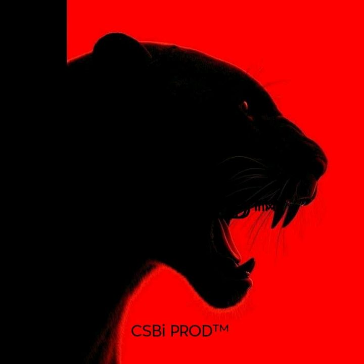 CSBI PROD™