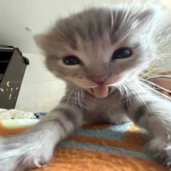wazzuppp