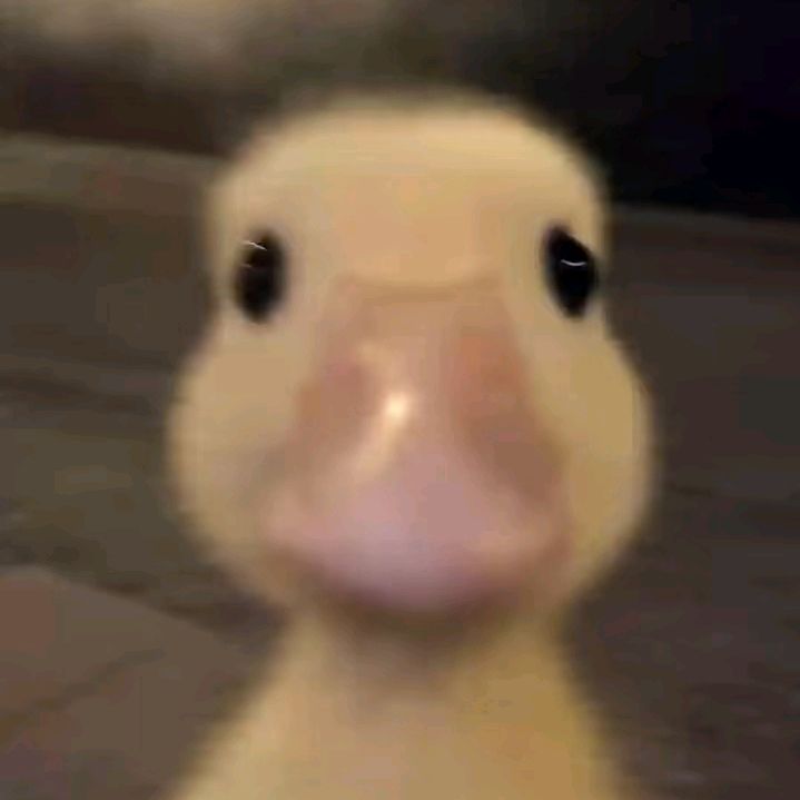 𝑫𝒓𝒆𝒊𝒎𝒔𝒚
