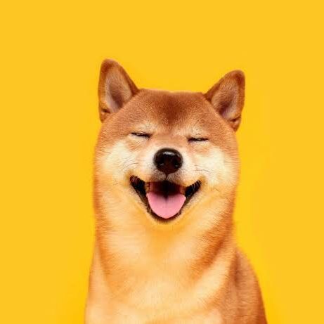 毛むくじゃらの時間