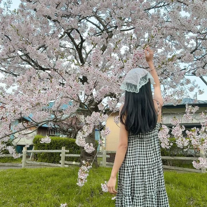 M💓(Nora💓)