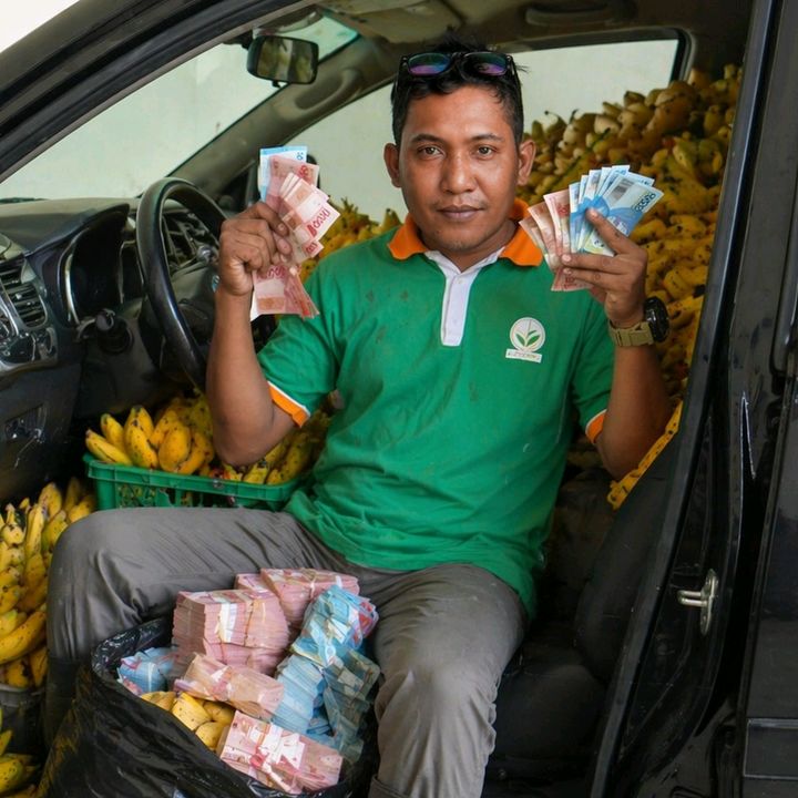 Bibit Pisang-RicardoHijauSurya