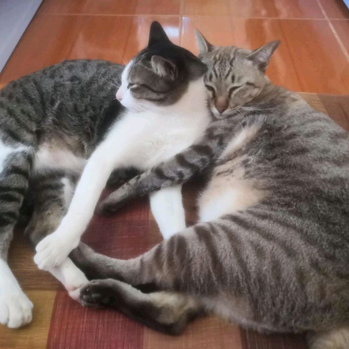 พี่มีเงินน้องมีทอง5
