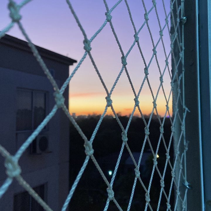Ape_504