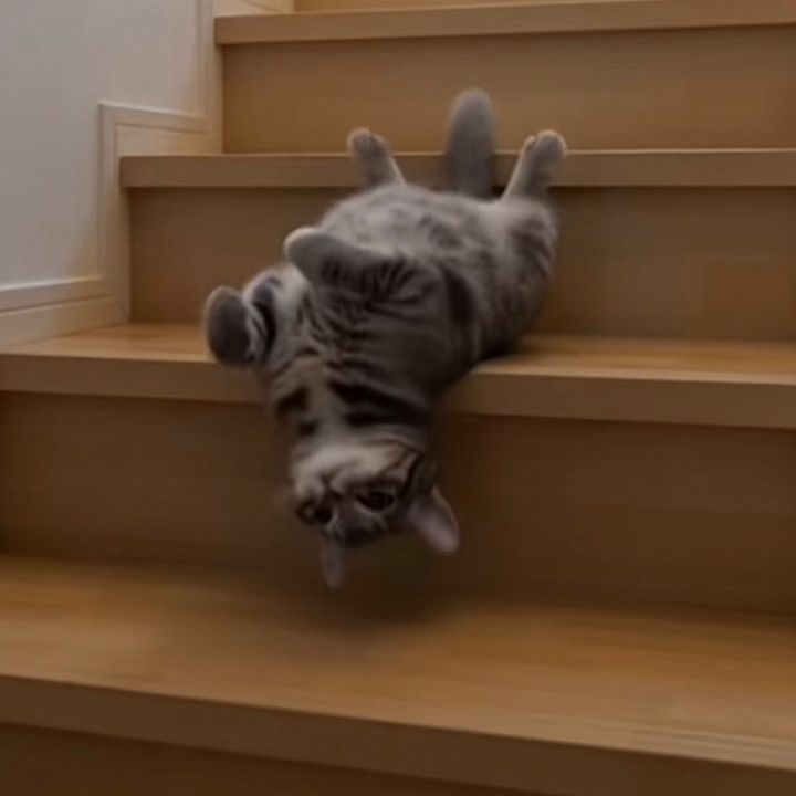 いいもの日和