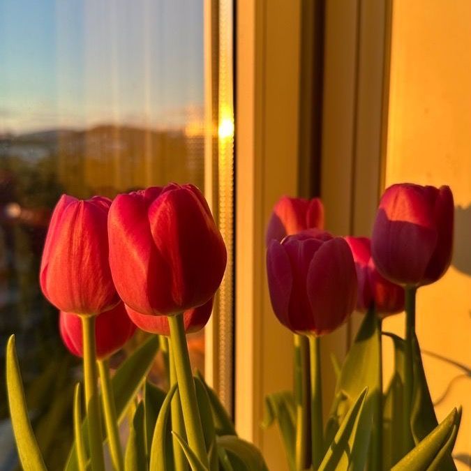 PamelAn☀️