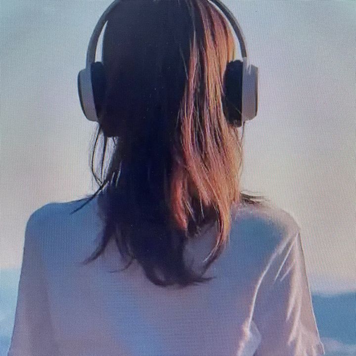 小七のお気に入り
