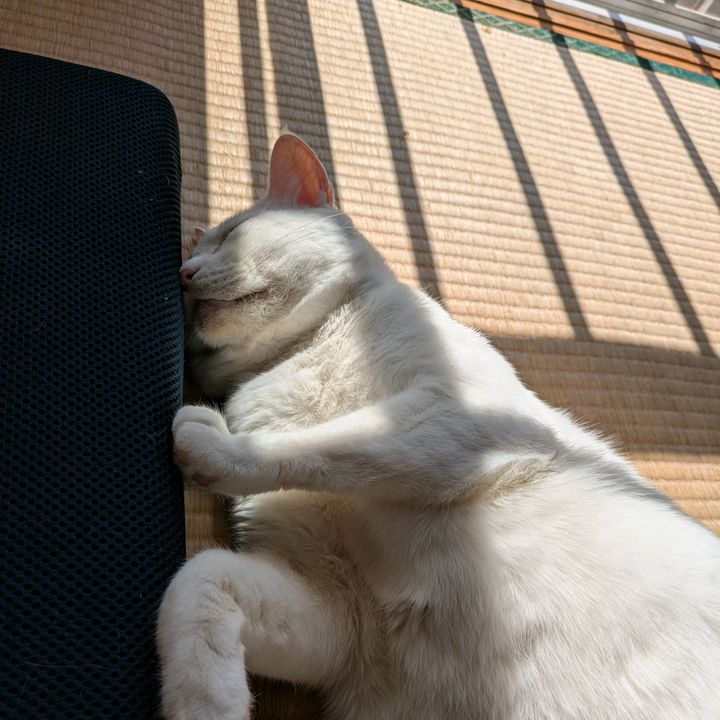 KOUICHI