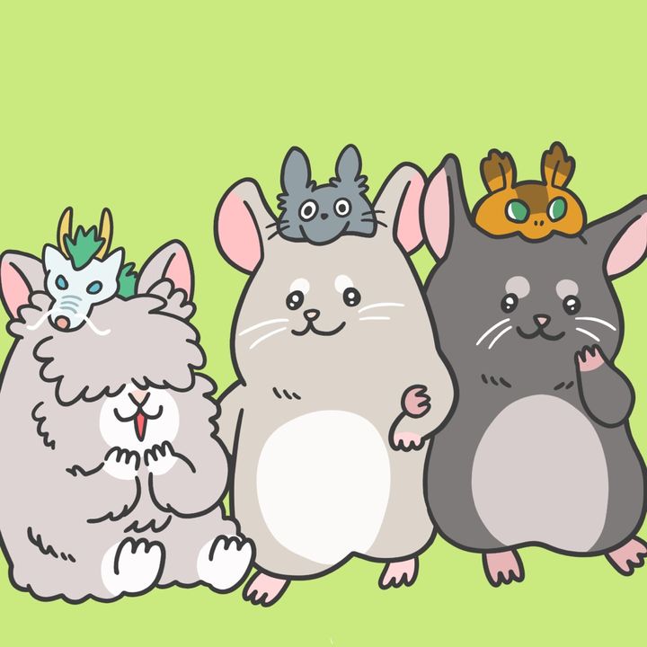チンチラのトロくんとテトくんᵃⁿᵈうさぎのハクくん