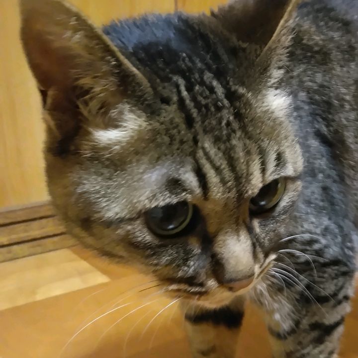 あ～る