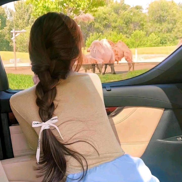 Nanji