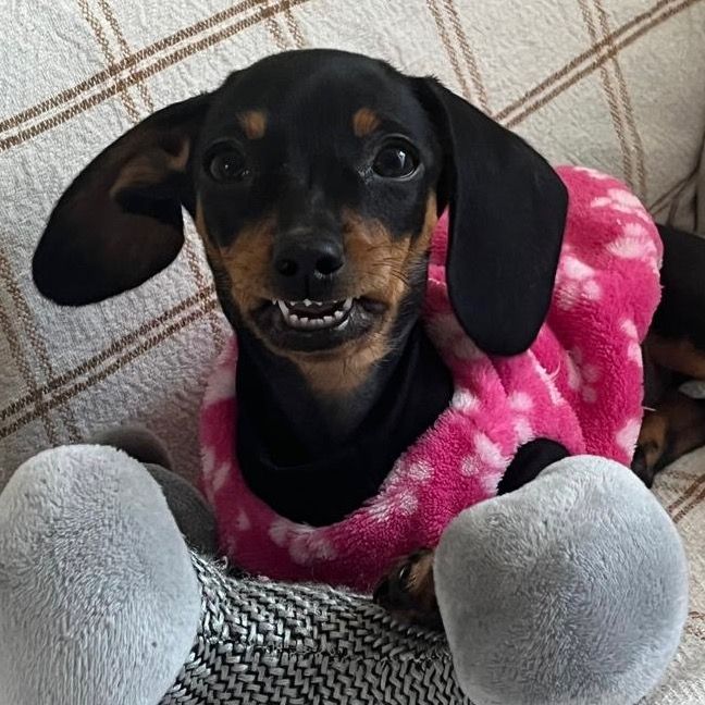 Nina