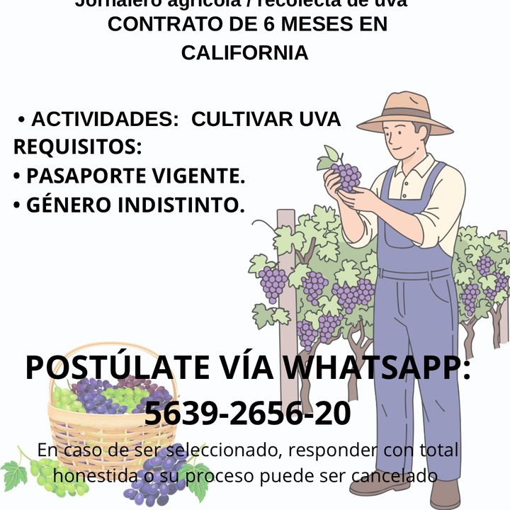 TRÁMITES DE VISA H2A