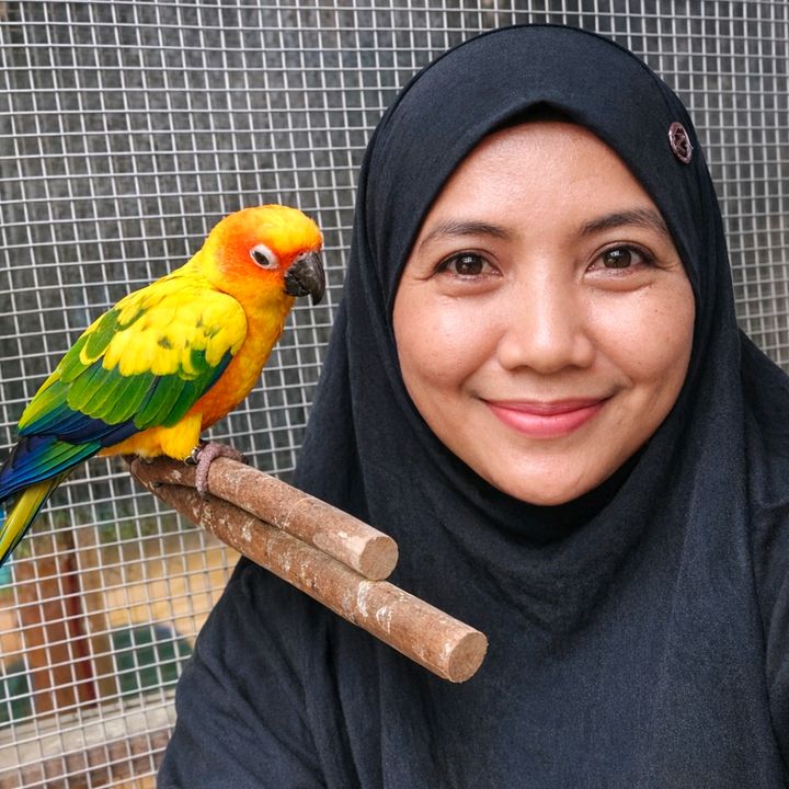 syam 🌻