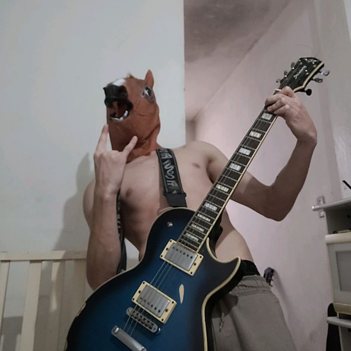 cavalo_404