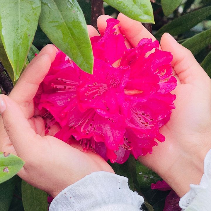 Japan Diary 📔 🇯🇵