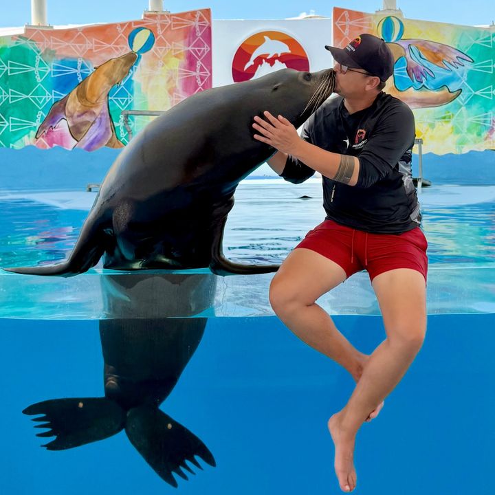 Juan Anaya Trainer 🐬🦭