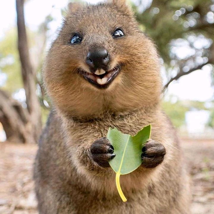 MarieJones