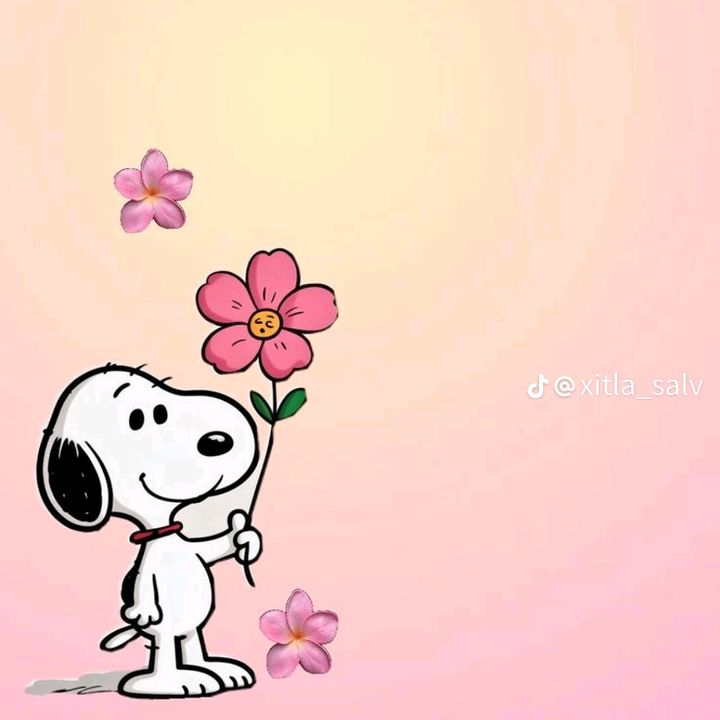 🌺 yare 🌺