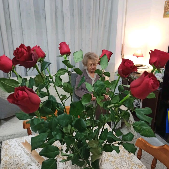 mezzogiorno