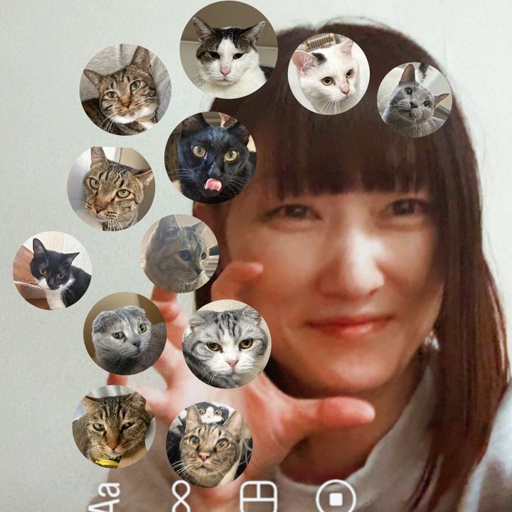 ひかるん🎀山田さんちは猫まみれ
